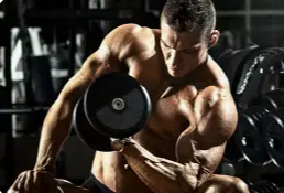 Back Day Training